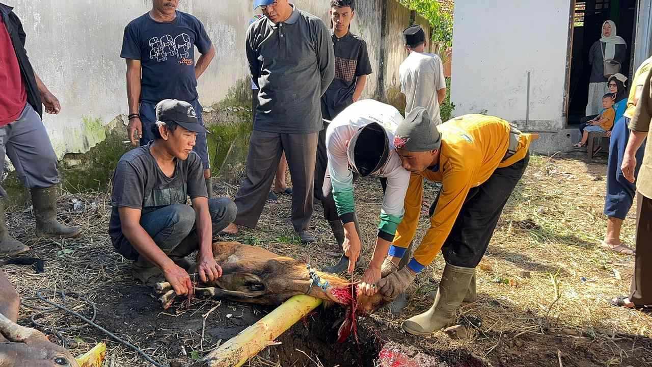 WhatsApp_Image_2026-05-28_at_11_35_30.jpg
